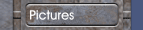 Pictures